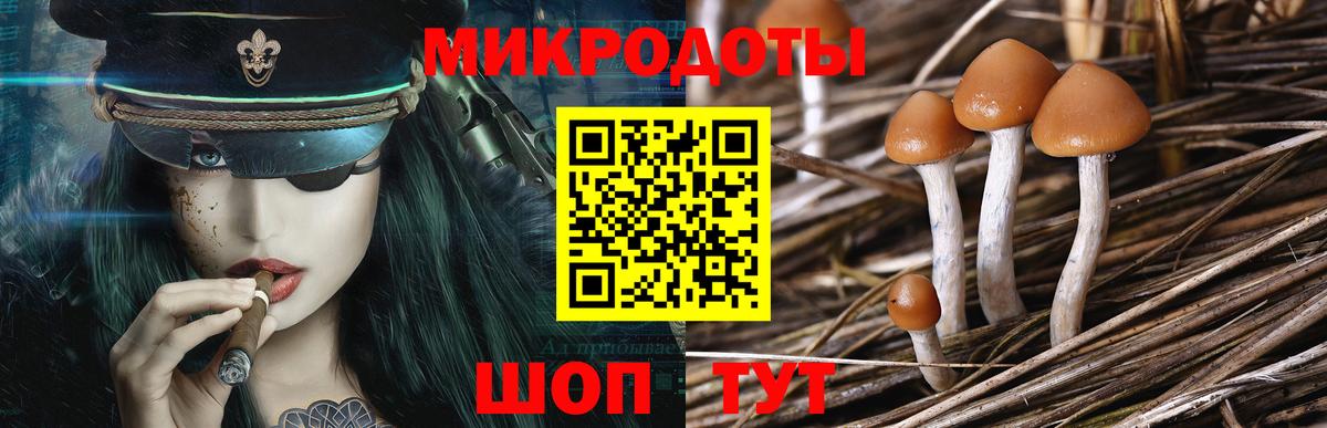 Галлюциногенные грибы мицелий  Вход с VPN  Холмск 